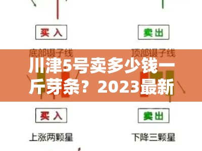 川津5号卖多少钱一斤芽条？2023最新市场价格行情速递