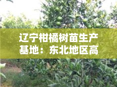 辽宁柑橘树苗生产基地：东北地区高产优质种苗培育与供应中心