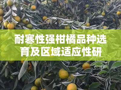 耐寒性强柑橘品种选育及区域适应性研究