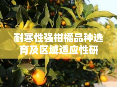 耐寒性强柑橘品种选育及区域适应性研究