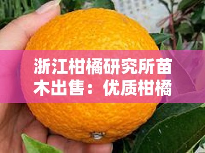 浙江柑橘研究所苗木出售：优质柑橘种苗专业培育基地直销