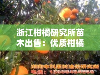 浙江柑橘研究所苗木出售：优质柑橘种苗专业培育基地直销