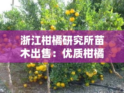 浙江柑橘研究所苗木出售：优质柑橘种苗专业培育基地直销