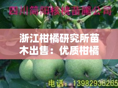 浙江柑橘研究所苗木出售：优质柑橘种苗专业培育基地直销