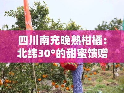 四川南充晚熟柑橘：北纬30°的甜蜜馈赠，乡村振兴的黄金产业