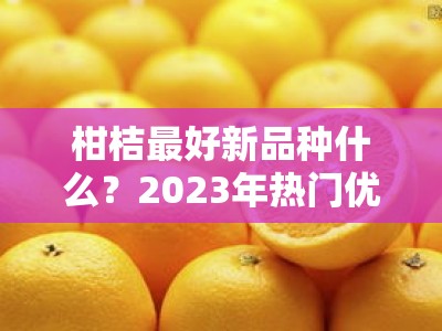 柑桔最好新品种什么？2023年热门优质品种全面解析