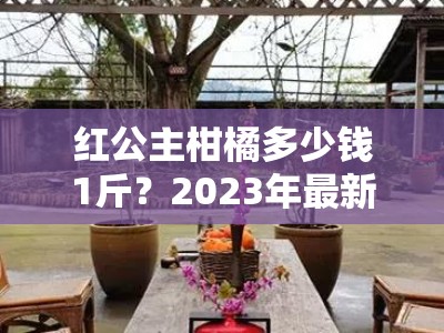 红公主柑橘多少钱1斤？2023年最新价格解析与选购指南