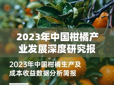 2023年中国柑橘产业发展深度研究报告总结及趋势展望