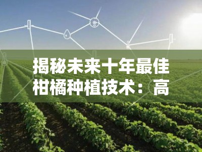 揭秘未来十年最佳柑橘种植技术：高效生态与智慧农业融合创新方案