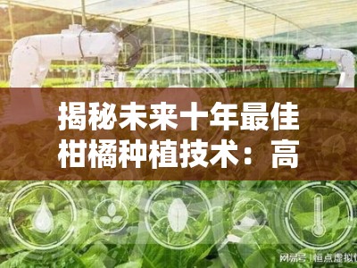 揭秘未来十年最佳柑橘种植技术：高效生态与智慧农业融合创新方案
