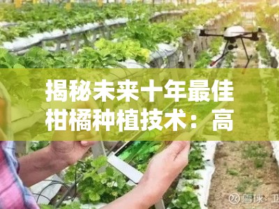 揭秘未来十年最佳柑橘种植技术：高效生态与智慧农业融合创新方案