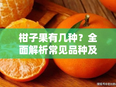 柑子果有几种？全面解析常见品种及产地差异