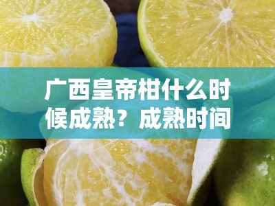广西皇帝柑什么时候成熟？成熟时间与产区特点全解析