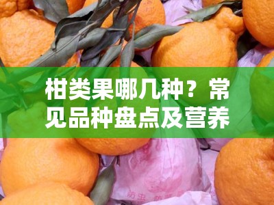柑类果哪几种？常见品种盘点及营养价值解析