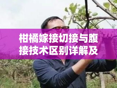 柑橘嫁接切接与腹接技术区别详解及操作要点解析