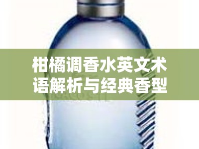 柑橘调香水英文术语解析与经典香型推荐指南