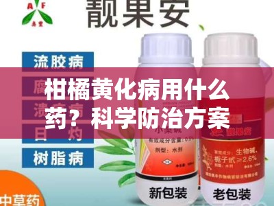 柑橘黄化病用什么药？科学防治方案与适用药物全解析