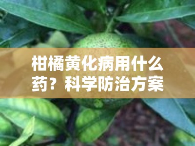 柑橘黄化病用什么药？科学防治方案与适用药物全解析