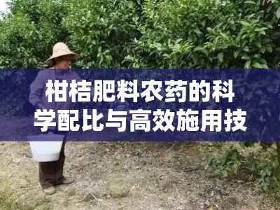 柑桔肥料农药的科学配比与高效施用技巧解析