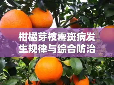 柑橘芽枝霉斑病发生规律与综合防治技术研究