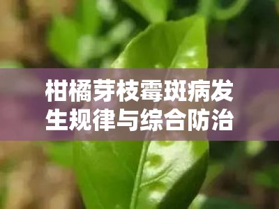 柑橘芽枝霉斑病发生规律与综合防治技术研究