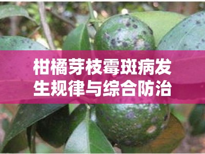 柑橘芽枝霉斑病发生规律与综合防治技术研究