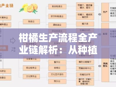 柑橘生产流程全产业链解析：从种植到加工的关键技术与标准化管理