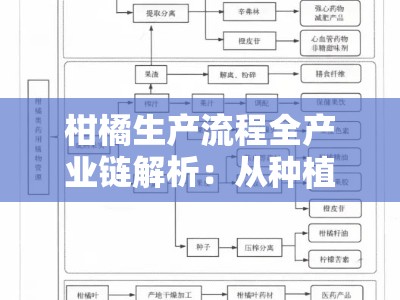 柑橘生产流程全产业链解析：从种植到加工的关键技术与标准化管理
