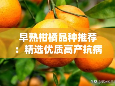 早熟柑橘品种推荐：精选优质高产抗病良种助丰收