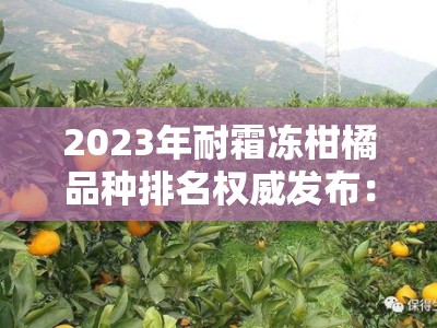 2023年耐霜冻柑橘品种排名权威发布：果农必看十大抗寒优选