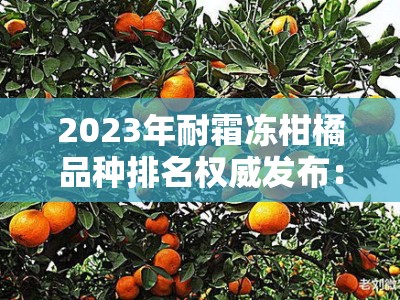2023年耐霜冻柑橘品种排名权威发布：果农必看十大抗寒优选