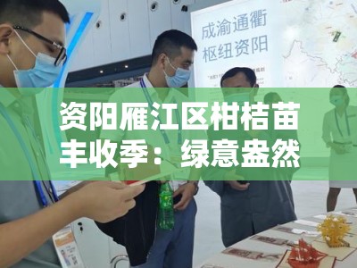 资阳雁江区柑桔苗丰收季：绿意盎然助推特色农业新发展