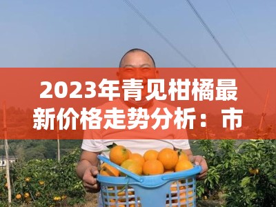 2023年青见柑橘最新价格走势分析：市场供需变化与行情波动解读