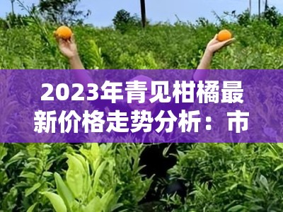 2023年青见柑橘最新价格走势分析：市场供需变化与行情波动解读
