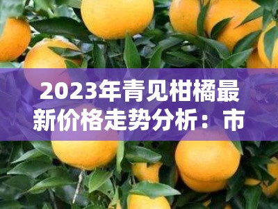 2023年青见柑橘最新价格走势分析：市场供需变化与行情波动解读