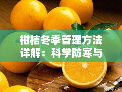 柑桔冬季管理方法详解：科学防寒与营养养护实用指南