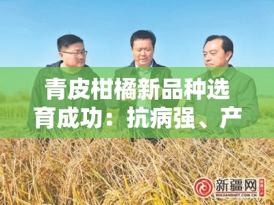 青皮柑橘新品种选育成功：抗病强、产量高的栽培突破