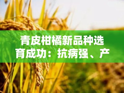 青皮柑橘新品种选育成功：抗病强、产量高的栽培突破