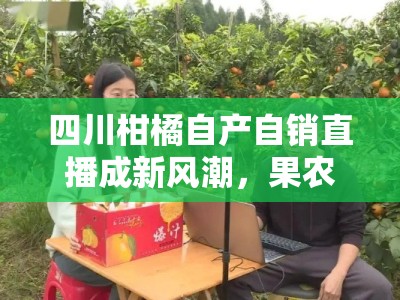 四川柑橘自产自销直播成新风潮，果农田间直发新鲜直达消费者