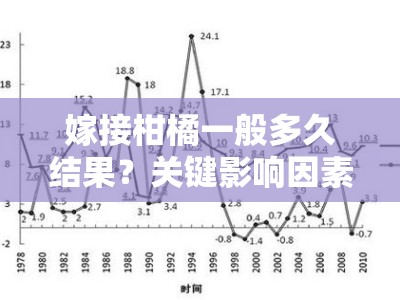 嫁接柑橘一般多久结果？关键影响因素与时间周期详解