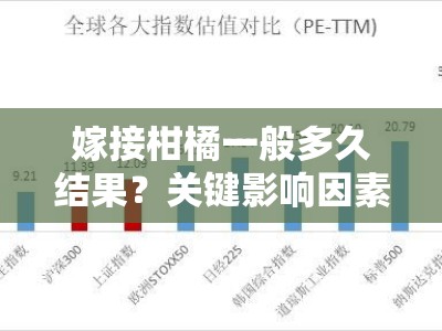 嫁接柑橘一般多久结果？关键影响因素与时间周期详解