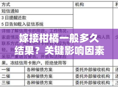 嫁接柑橘一般多久结果？关键影响因素与时间周期详解