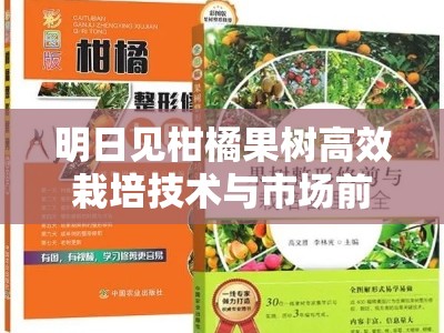 明日见柑橘果树高效栽培技术与市场前景深度解析