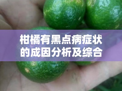 柑橘有黑点病症状的成因分析及综合防治指南