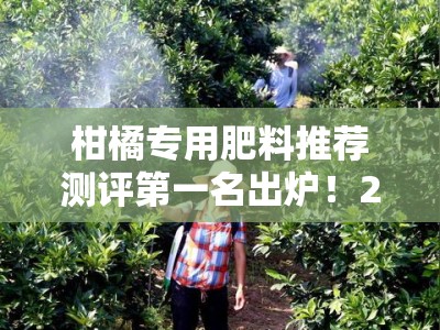 柑橘专用肥料推荐测评第一名出炉！2023年度果农首选品牌实测榜单