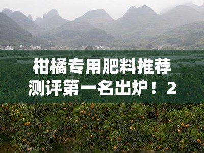 柑橘专用肥料推荐测评第一名出炉！2023年度果农首选品牌实测榜单