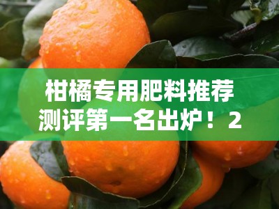 柑橘专用肥料推荐测评第一名出炉！2023年度果农首选品牌实测榜单