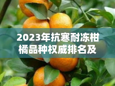 2023年抗寒耐冻柑橘品种权威排名及区域适应性解析