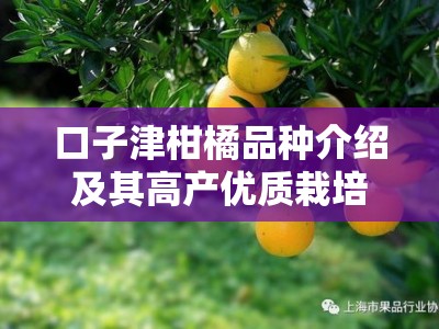口子津柑橘品种介绍及其高产优质栽培技术要点解析