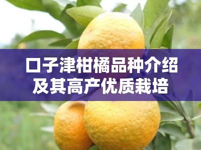 口子津柑橘品种介绍及其高产优质栽培技术要点解析